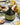 Organic Peranzana extra virgin olive oil